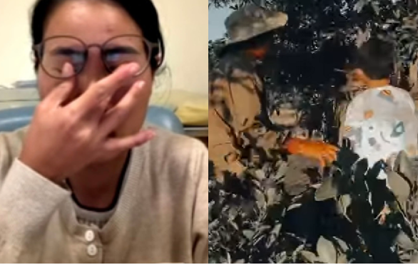 Mẹ Bắp khóc lóc cầu xin CDM tha cho gia đình cô, hứa hẹn luôn ngày sao kê đầy đủ: ‘Con tôi phải nghỉ học rồi, ba mẹ cũng già yếu nữa’