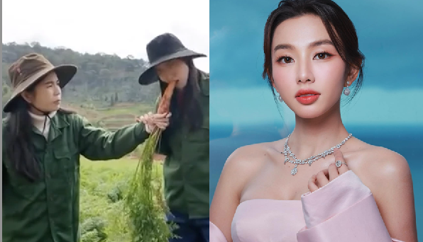 Thùy Tiên giả tạo đến mức nào: Từng ăn cà rốt sống trên show truyền hình, vậy mà ở nông trại với Hằng Du Mục lại làm như lần đầu thấy