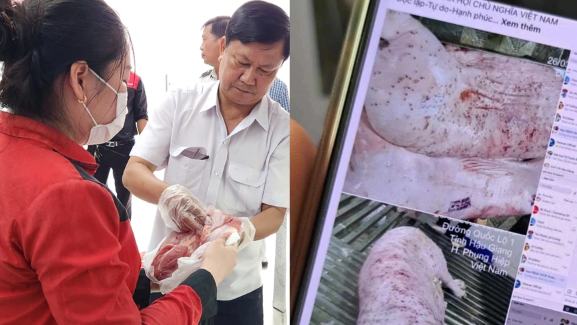 Vụ Công ty C.P bị tố bán thịt b:ẩn ở Sóc Trăng: Kết quả kiểm tra khiến người tiêu dùng s:ốc nặng, sự thật không ai ngờ!