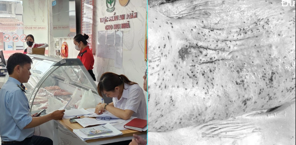 Vụ nghi bán heo bệnh tại C.P.: Người dân bức xúc phản ánh, chính quyền Hậu Giang được đề nghị vào cuộc xác minh