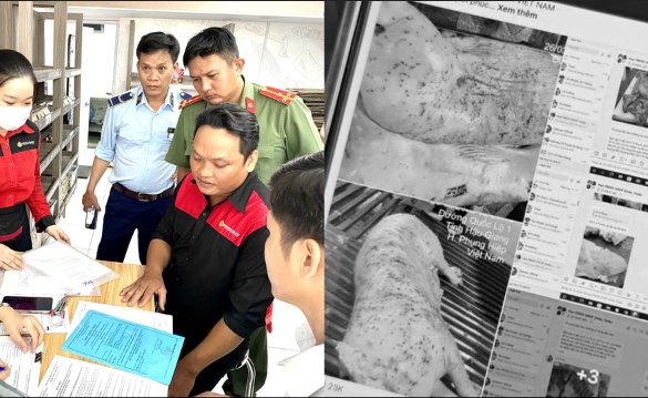 C.P bị tố bán thịt heo bệnh, đoàn kiểm tra vào cuộc: ‘Không vướng cái này cũng vướng cái kia hà, không thoát được đâu?’