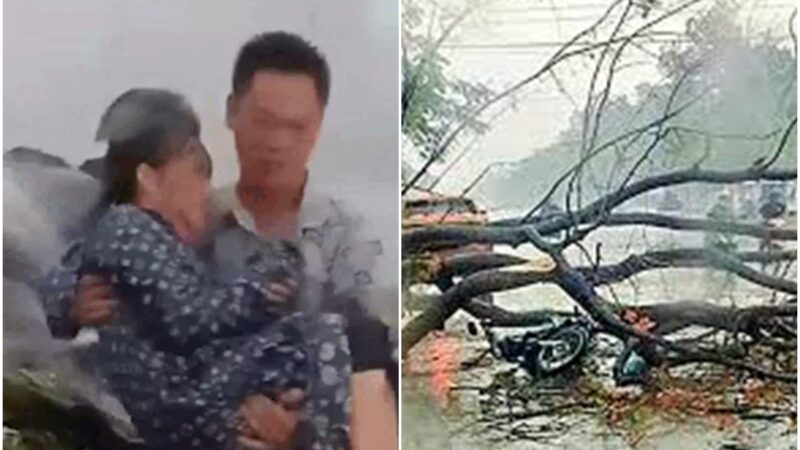 Tuyệt vời: Danh tính người đàn ông lao vào mưa dông cứu một phụ nữ bị cây đ:è, không ai nghĩ anh lại hành đông như thế, quá là đẹp