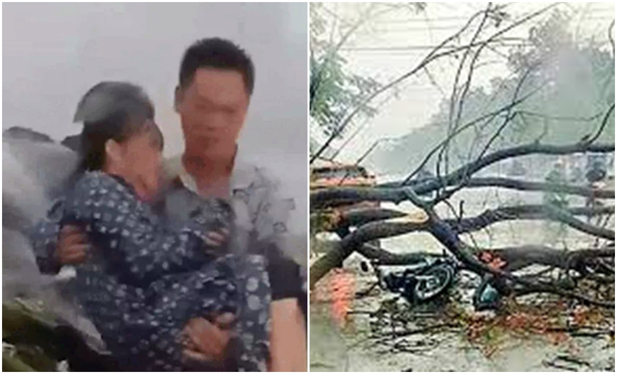 Tuyệt vời: Danh tính người đàn ông lao vào mưa dông cứu một phụ nữ bị cây đ:è, không ai nghĩ anh lại hành đông như thế, quá là đẹp