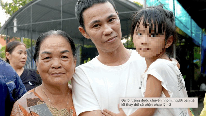 Gà lôi trắng được “chuyển nhóm”, người bán gà lôi thay đổi số phận pháp lý