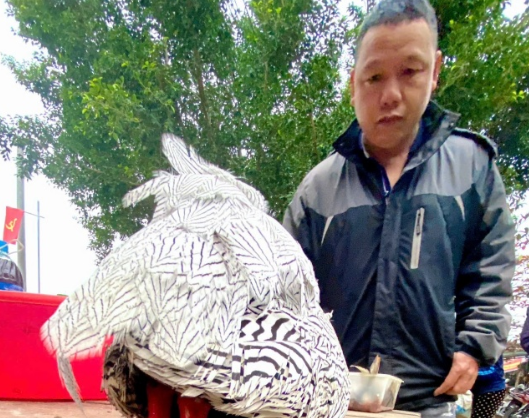 Gà lôi trắng quý hiếm từng bày b:án công khai ở Nghệ An: Sự thật hé lộ từ phiên chợ vùng cao