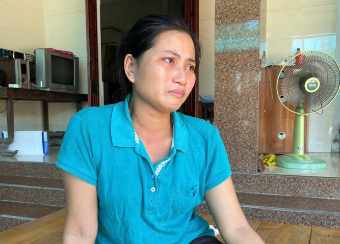 Nhiều luật sư muốn bào chữa miễn phí cho bị cáo ‘bá:n gà lôi trắng’