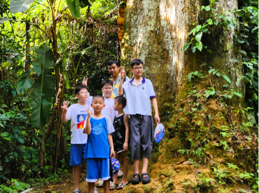 Sở Du lịch tỉnh Ninh Bình ra chỉ đạo khẩn sau vụ nam du khách tuvong trong rừng Cúc Phương