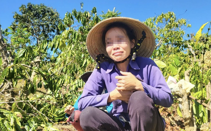 Anh rể phá vườn cây để “đòi … qu:an h:ệ” em vợ: “Không thể chấp nhận được”