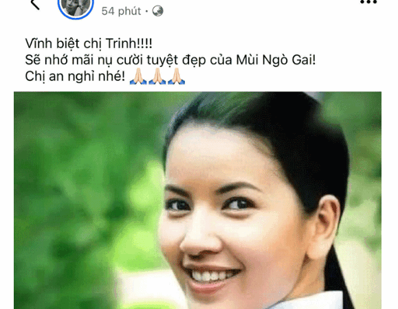 Trấn Thành hứng bão chỉ trích từ antifan, nguyên nhân liên quan đến bài đăng về diễn viên Ngọc Trinh