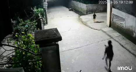 Cờ nhíp em bé ngã xuống mương nước, anh trai nhỏ tuổi có hành động nhanh trí cứu em trong gang tấc