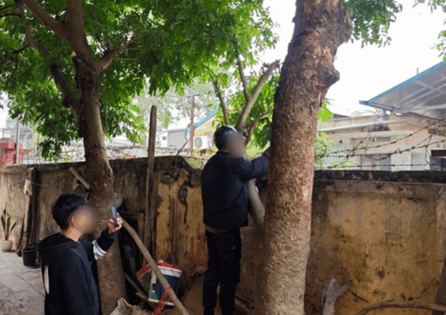 Người dân Lạng Sơn tiết lộ tình trạng ở Trạm Quản lý thị trường số 4 những ngày qua.