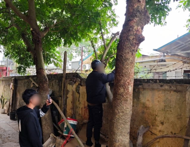 Người dân Lạng Sơn tiết lộ tình trạng ở Trạm Quản lý thị trường số 4 những ngày qua.