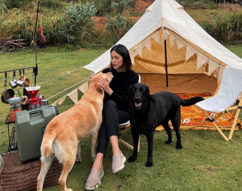 Tăng Thanh Hà đau đớn, tuy:ệt vọ:ng: ‘Không ăn nhiều ngày vì m:ất đi bạn thân, ai nấy đều chia buồn cùng gia đình’.