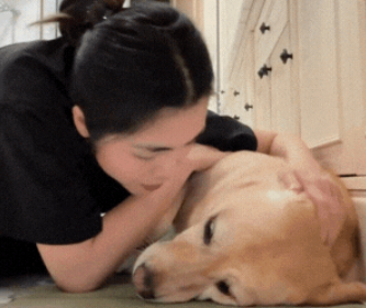 Nhiều người thắc mắc: Tại sao con chó ch:ế::t mà cũng phải chia buồn với gia đình?