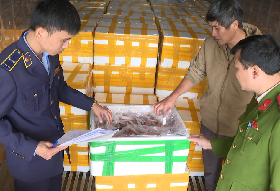 Ki:nh ho:àng 10 tấn cá khoai Trung Quốc tẩm formol cực đ:ộ:c chờ lên bàn ăn.