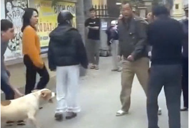 Vụ xua chó vào cắn người, chủ nuôi có thể đối diện với mức án nào: Luật sư giải thích cạn kẽ?