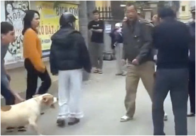 Vụ xua chó vào cắn người, chủ nuôi có thể đối diện với mức án nào: Luật sư giải thích cạn kẽ?