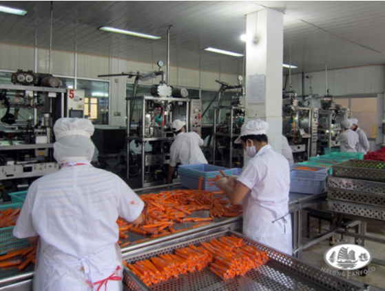 Hé lộ quy trình sản xuất th:ịt h:ộp, xú:c x:ích của Công ty Đồ hộp Hạ Long: Đáng sợ quá, không dám ăn nữa.