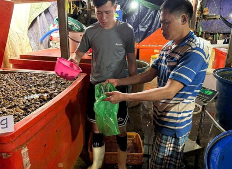 Sở An toàn thực phẩm TPHCM lên tiếng vụ 3.000 tấn ốc ng:âm hó:a ch:ất, tại sao cơ sở này đã tồn tại được 5 năm?