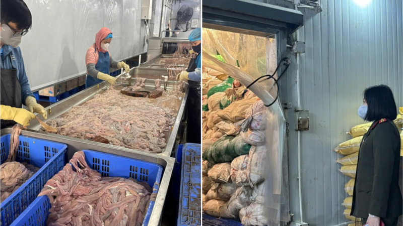 Hơn 60 tấn lò:ng lợ:n bố:c mù:i nằm trong kho lạnh nhiều tháng ở Hà Nội, chờ tuồn ra thị trường: Sợ quá đi thôi.