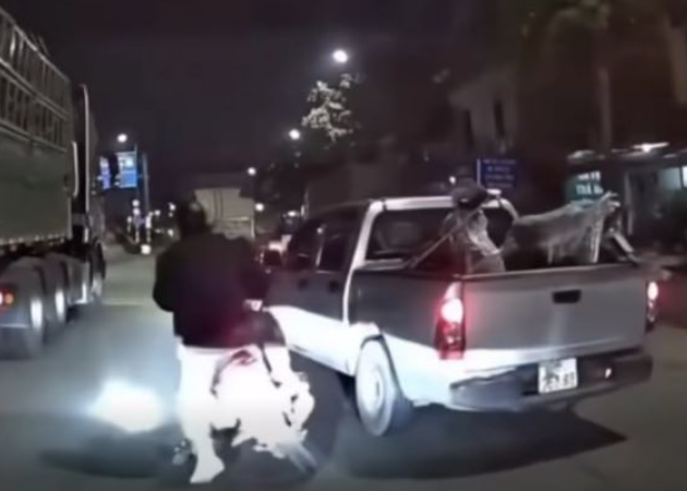 Luật sư phân tích rõ về vụ tài xế bán tải ch:èn é:p xe máy: “Giải thích tường tận, cạn kẽ về tội danh của nam tài xế này?”