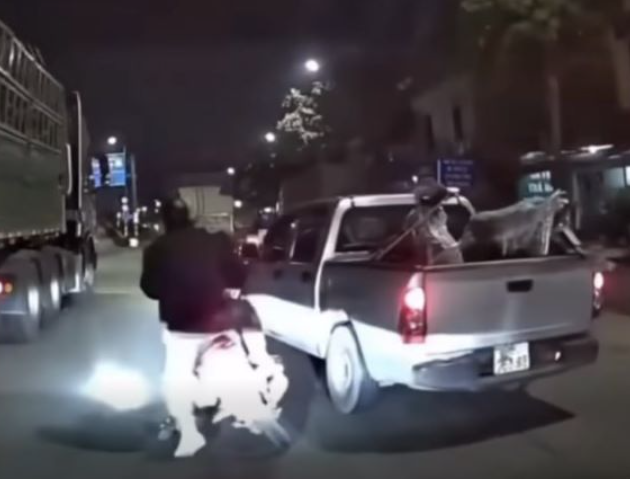 Luật sư phân tích rõ về vụ tài xế bán tải ch:èn é:p xe máy: “Giải thích tường tận, cạn kẽ về tội danh của nam tài xế này?”