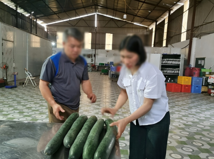 Tiết lộ khoản hoa hồng cho hiệu trưởng để tuồn th:ịt he:o bệ:nh vào trường học: Béo bỡ quá mà, không ăn sao được.