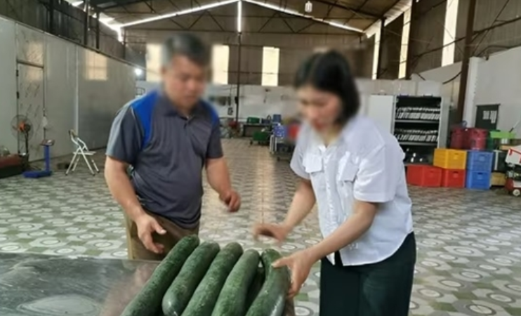 Rõ số tiền hiệu trưởng và kế toán được nhận khi để th:ịt l:ợn b:ệnh được tuồn vào trường học: Nhiều không tưởng.