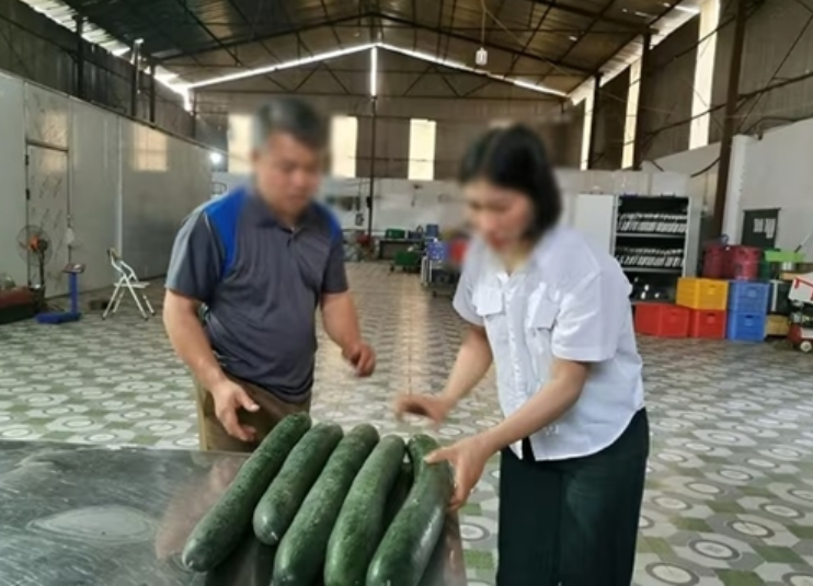 Rõ số tiền hiệu trưởng và kế toán được nhận khi để th:ịt l:ợn b:ệnh được tuồn vào trường học: Nhiều không tưởng.