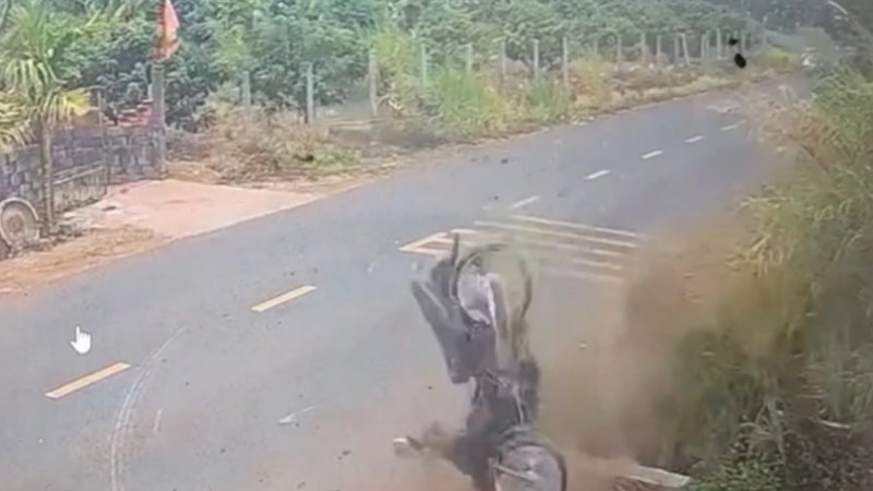 Vụ thiếu tá CSGT ở Đắk Lắk bị khởi tố: Cha mẹ nam sinh sẽ tham gia tố tụng với tư cách nào? Luật sư nói rõ.